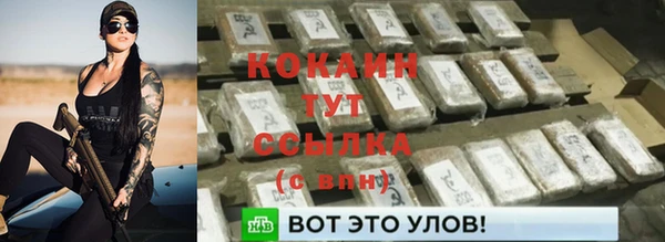 прущие крисы Верея