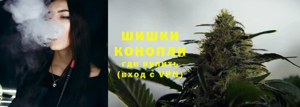 прущие крисы Верея