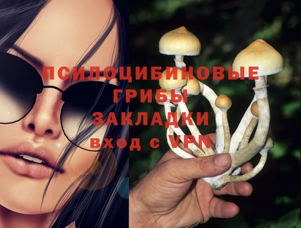 прущие крисы Верея