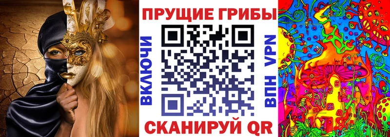 Псилоцибиновые грибы Cubensis  Купить где  Юрьев-Польский 