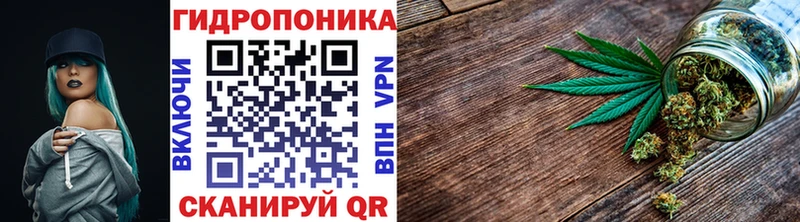 Каннабис планчик  Купить  Юрьев-Польский 